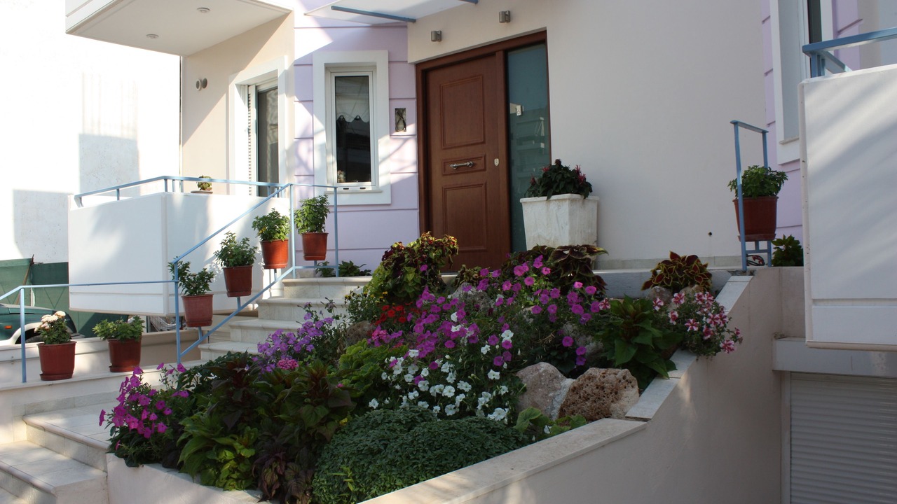 Photo of Outdoor in Elliniko-Argyroupoli