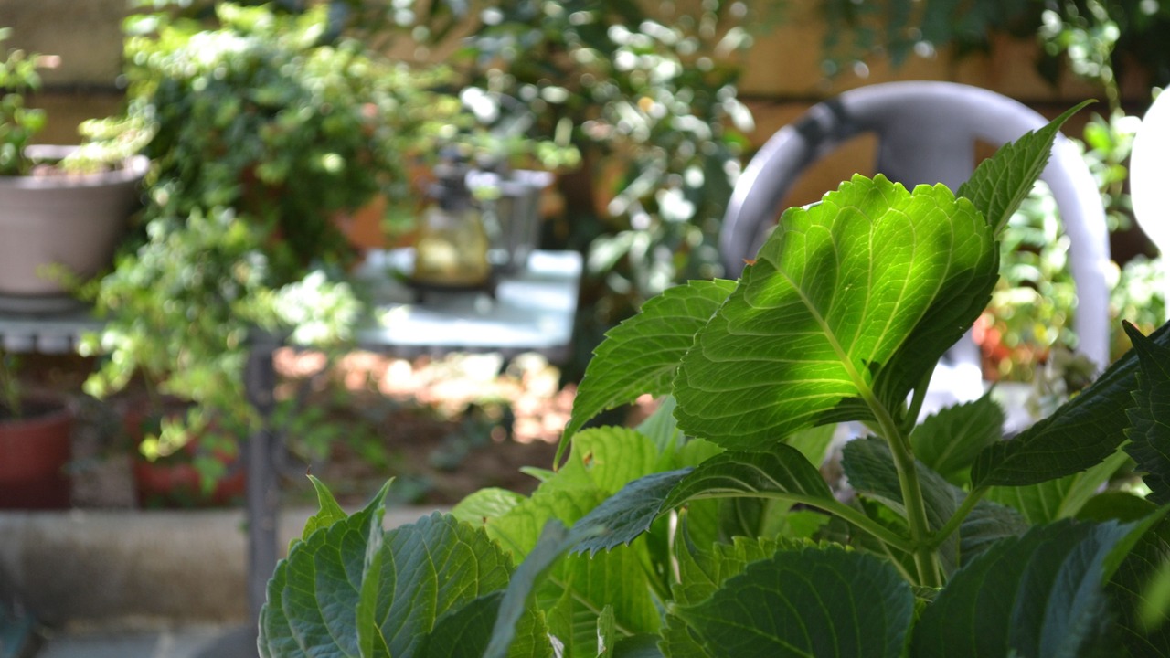 Photo of Outdoor in Elliniko-Argyroupoli