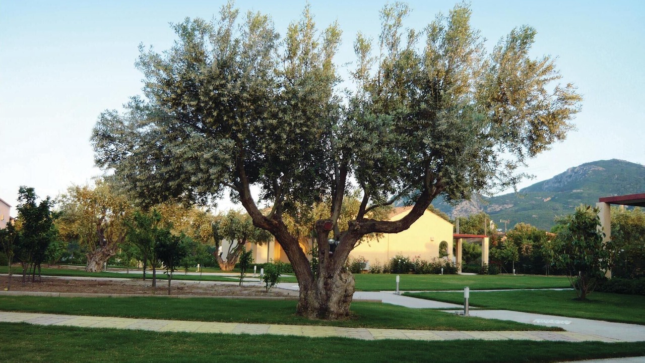 Photo of Outdoor in Agii Apostoli