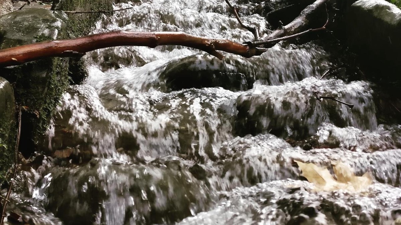 Photo of Outdoor in Steni