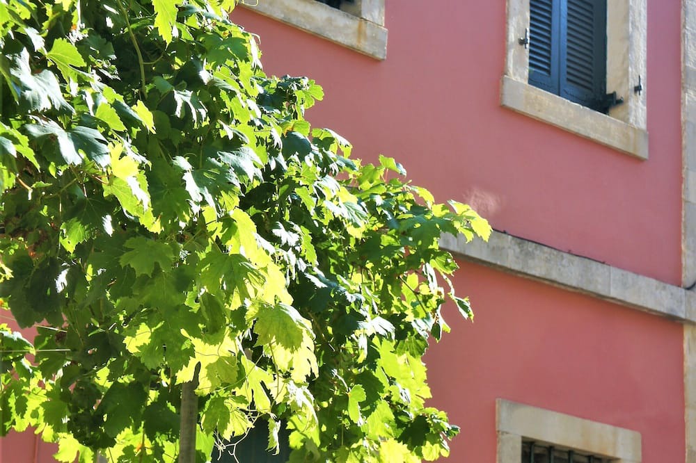 Photo of Outdoor in Kouramades
