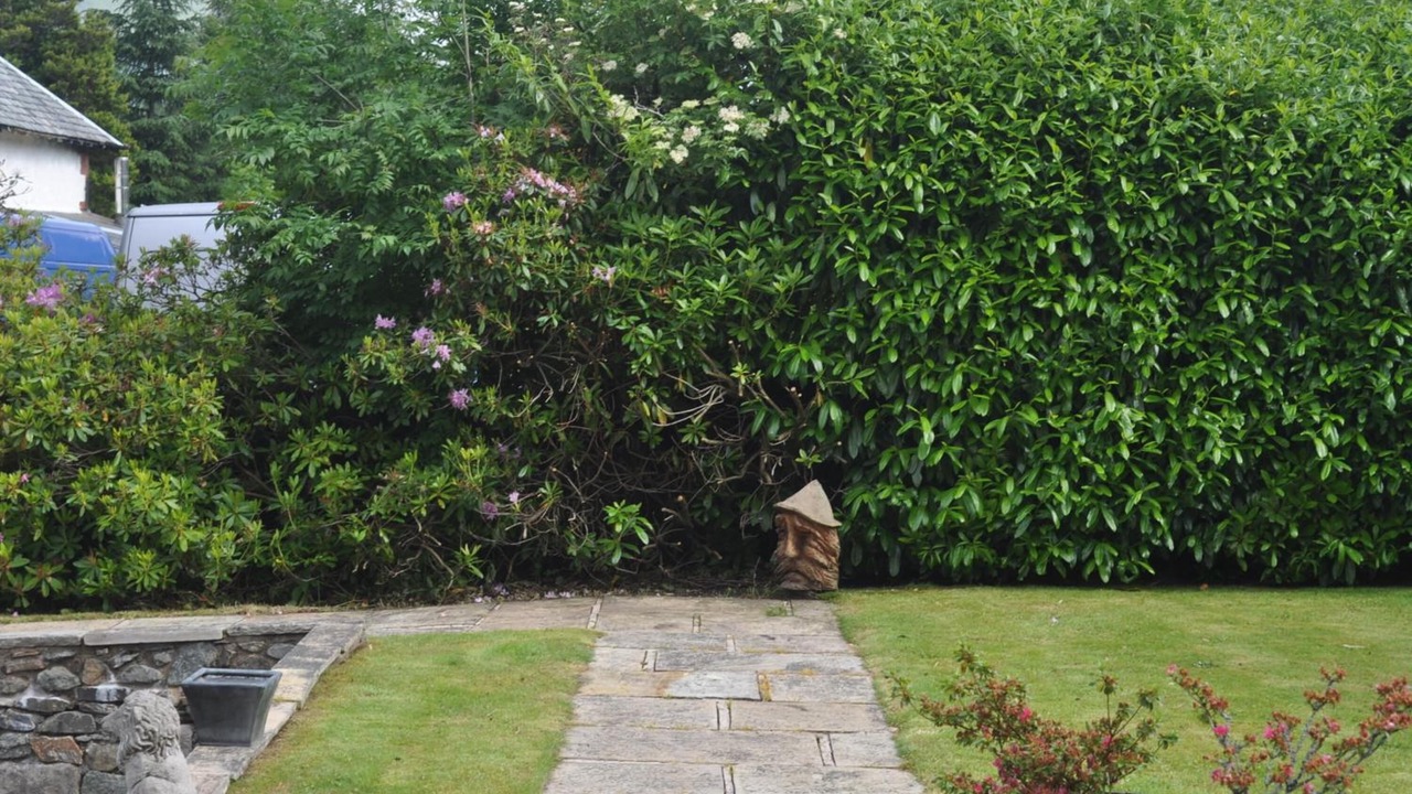Photo of Outdoor in Strathyre