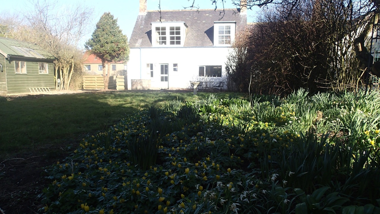 Photo of Outdoor in Allanton