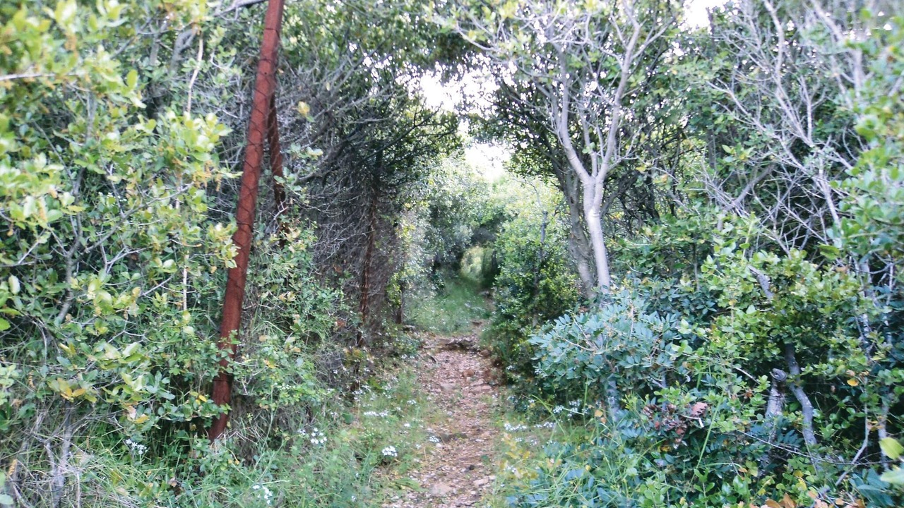 Photo of Outdoor in Xiropigado