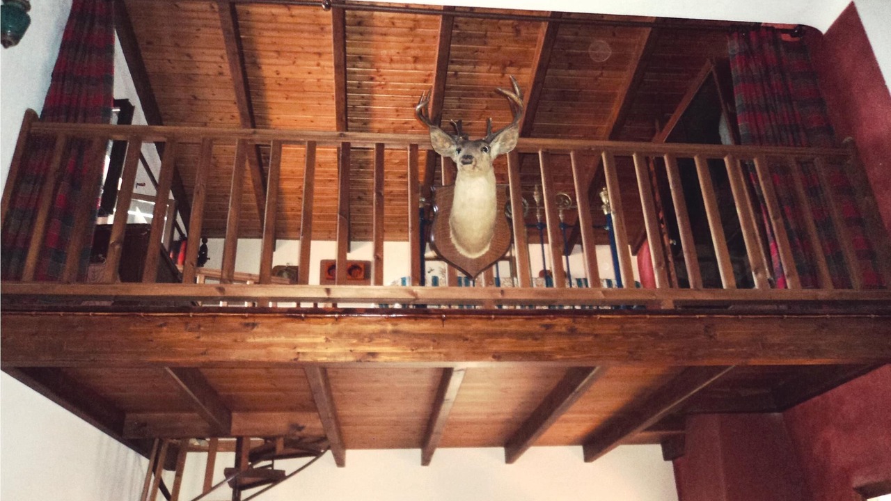 Photo of Others in Xiropigado