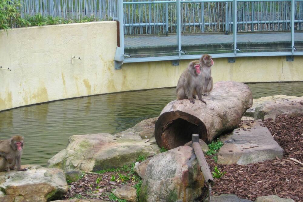Photo of Others in Riverside