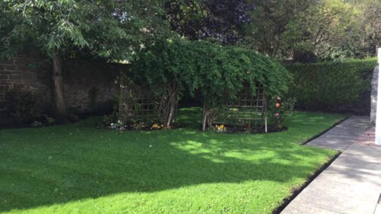 Photo of Outdoor in Montrose