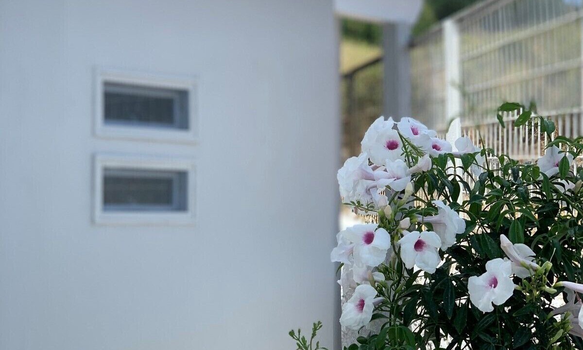 Photo of Outdoor in Eleios-Pronnoi