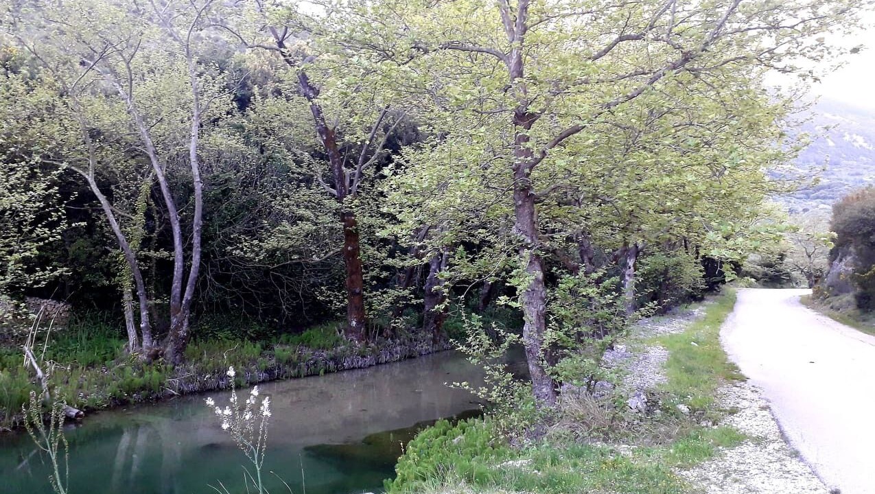 Photo of Outdoor in Eleios-Pronnoi