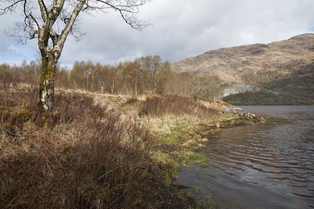 Photo of Others in Taynuilt