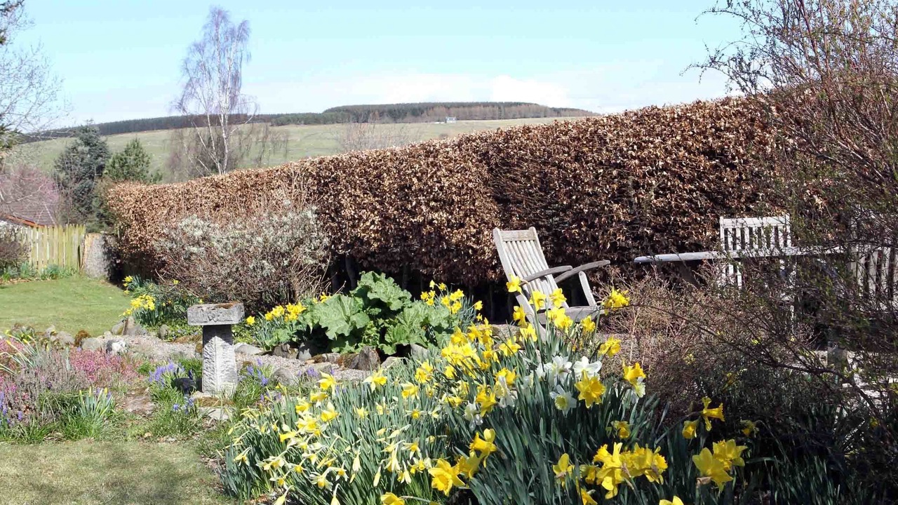 Photo of Outdoor in Dunkeld