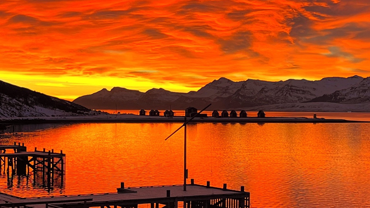 Photo of Others in Eskifjordur