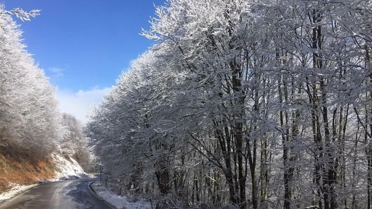 Photo of Others in Agios Germanos