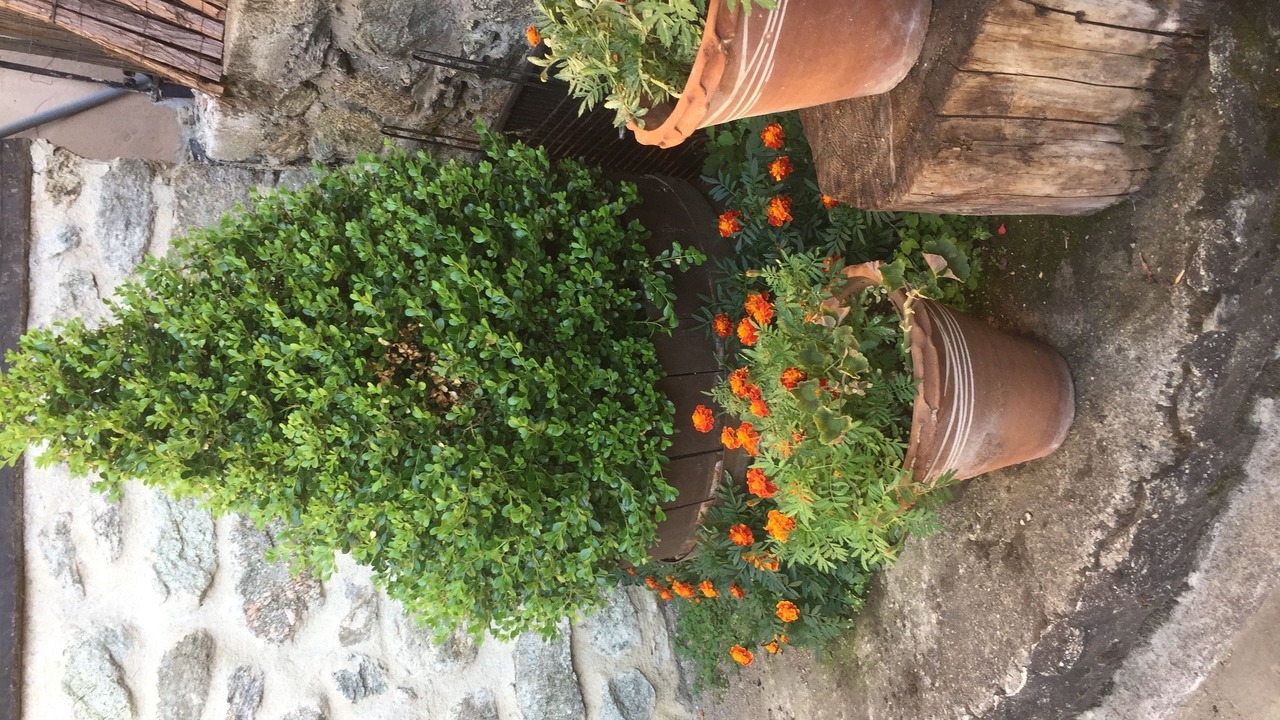 Photo of Outdoor in Agios Germanos