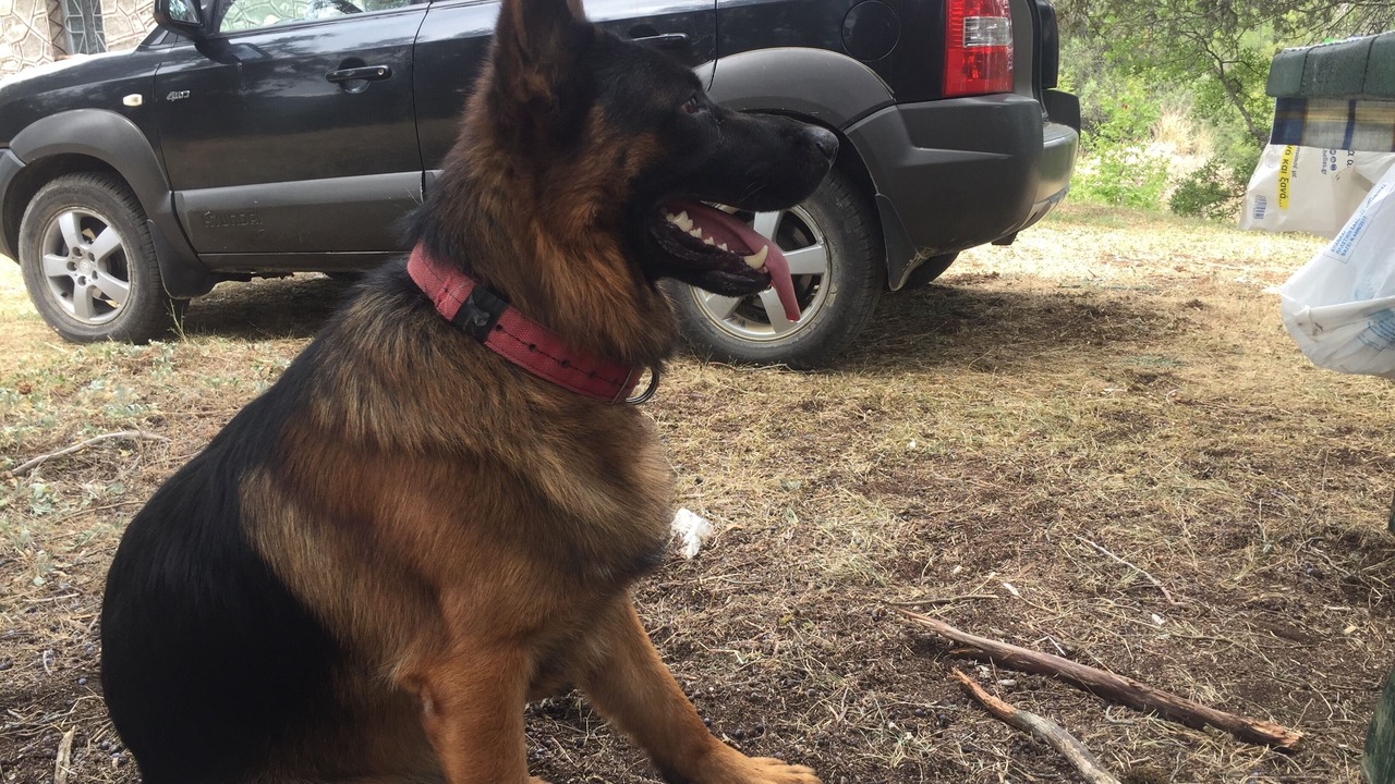 Photo of Others in Agios Germanos