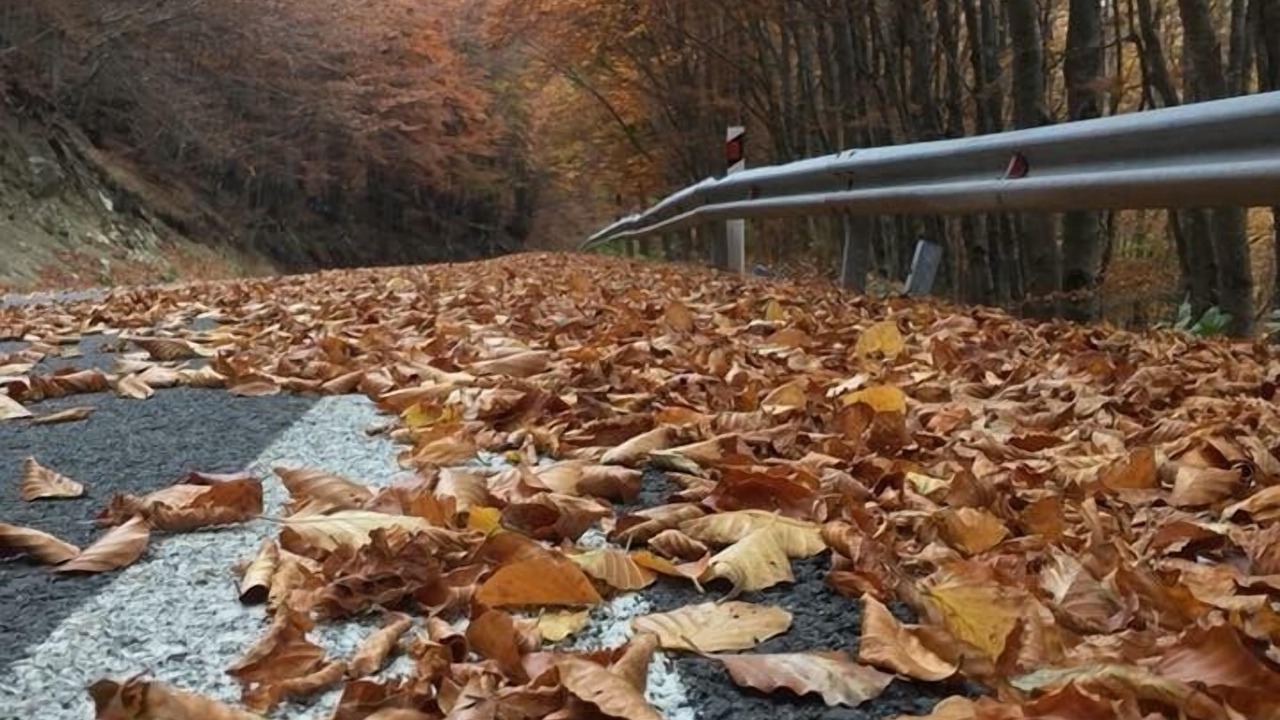 Photo of Others in Agios Germanos