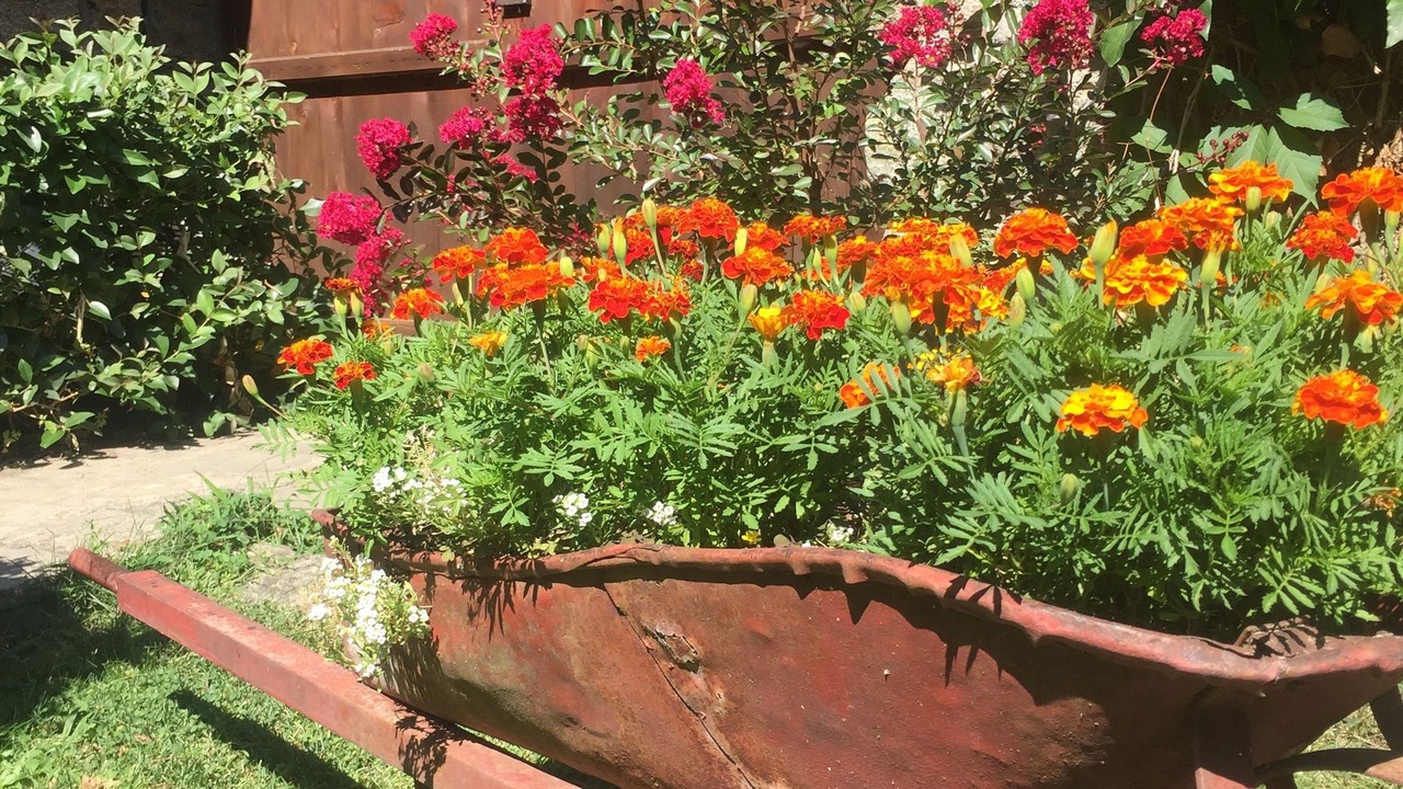 Photo of Outdoor in Agios Germanos