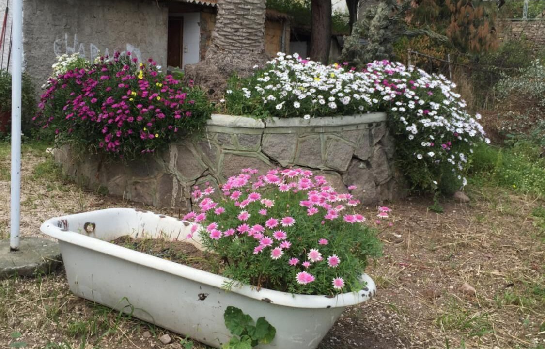 Photo of Outdoor in Methana