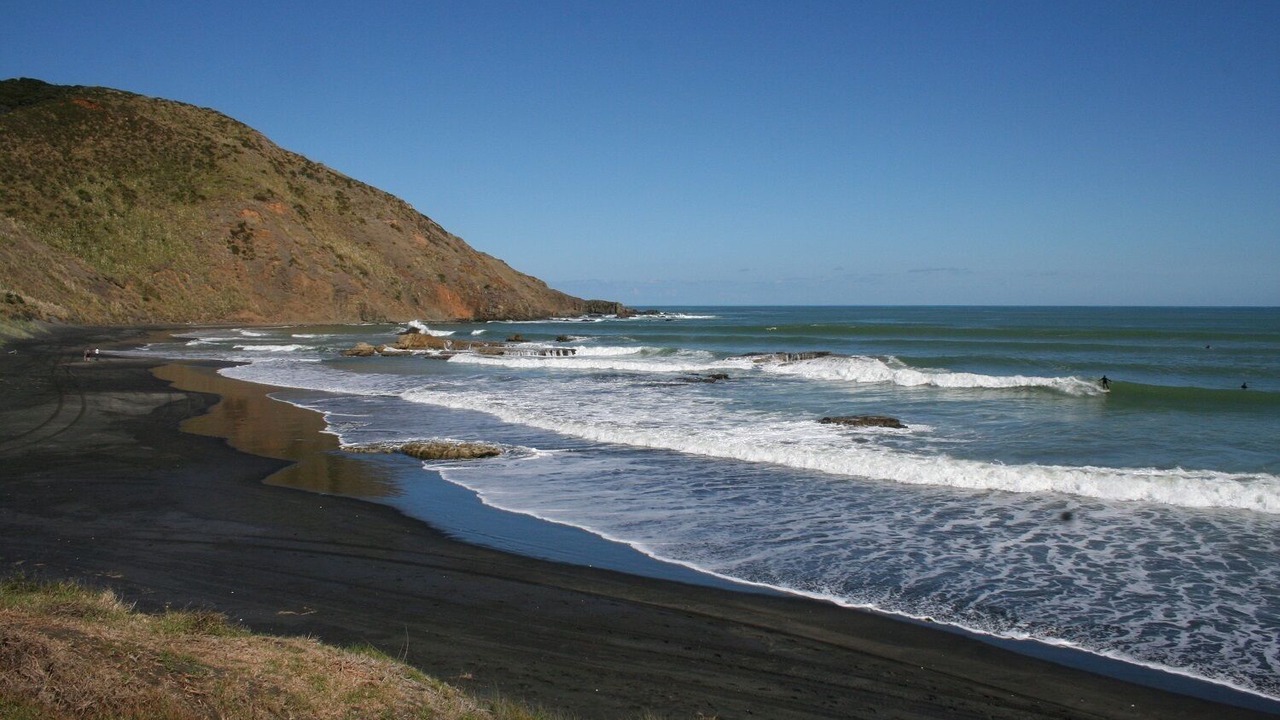 Photo of Others in Port Waikato