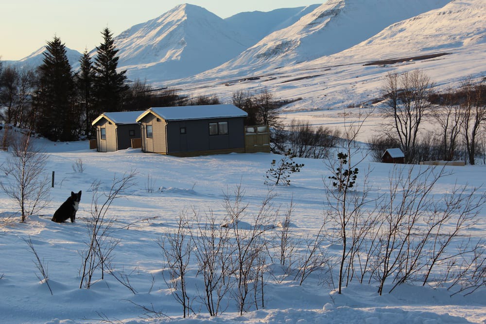Photo of Outdoor in Eyjafjaroarsveit