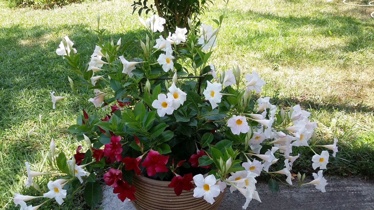 Photo of Outdoor in Ormos Prinou