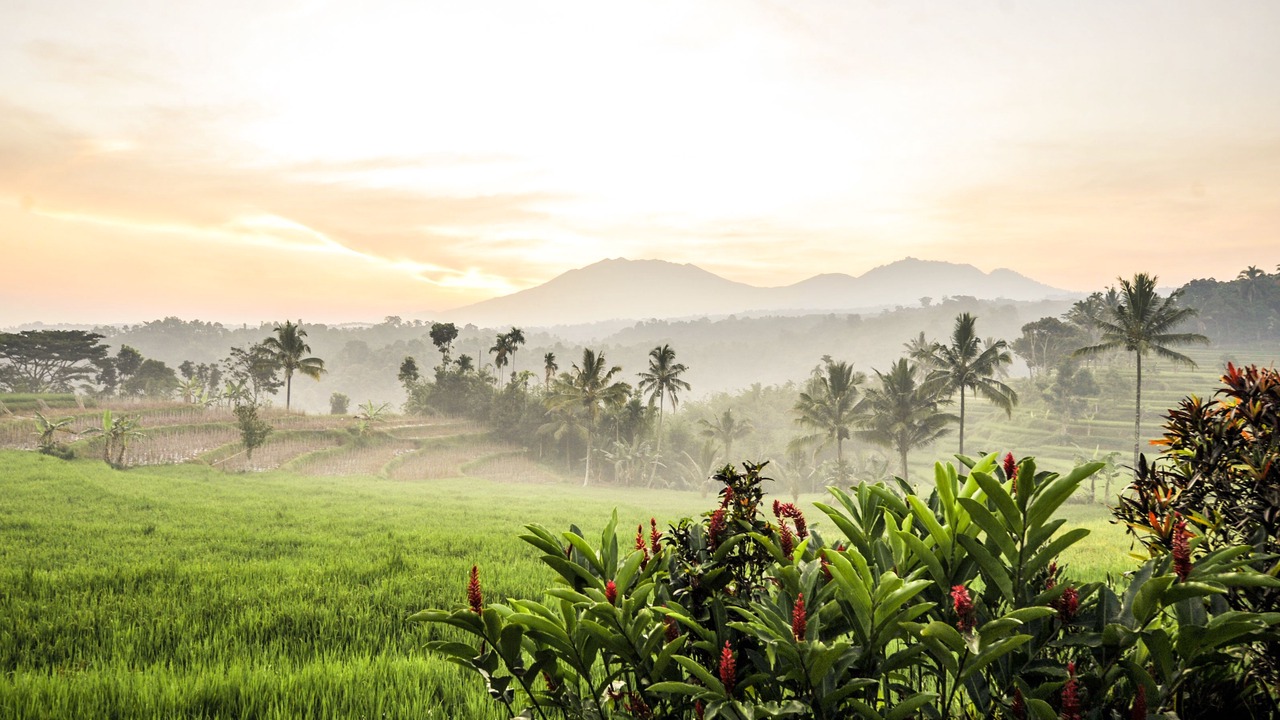 Photo of Others in Banyuwangi