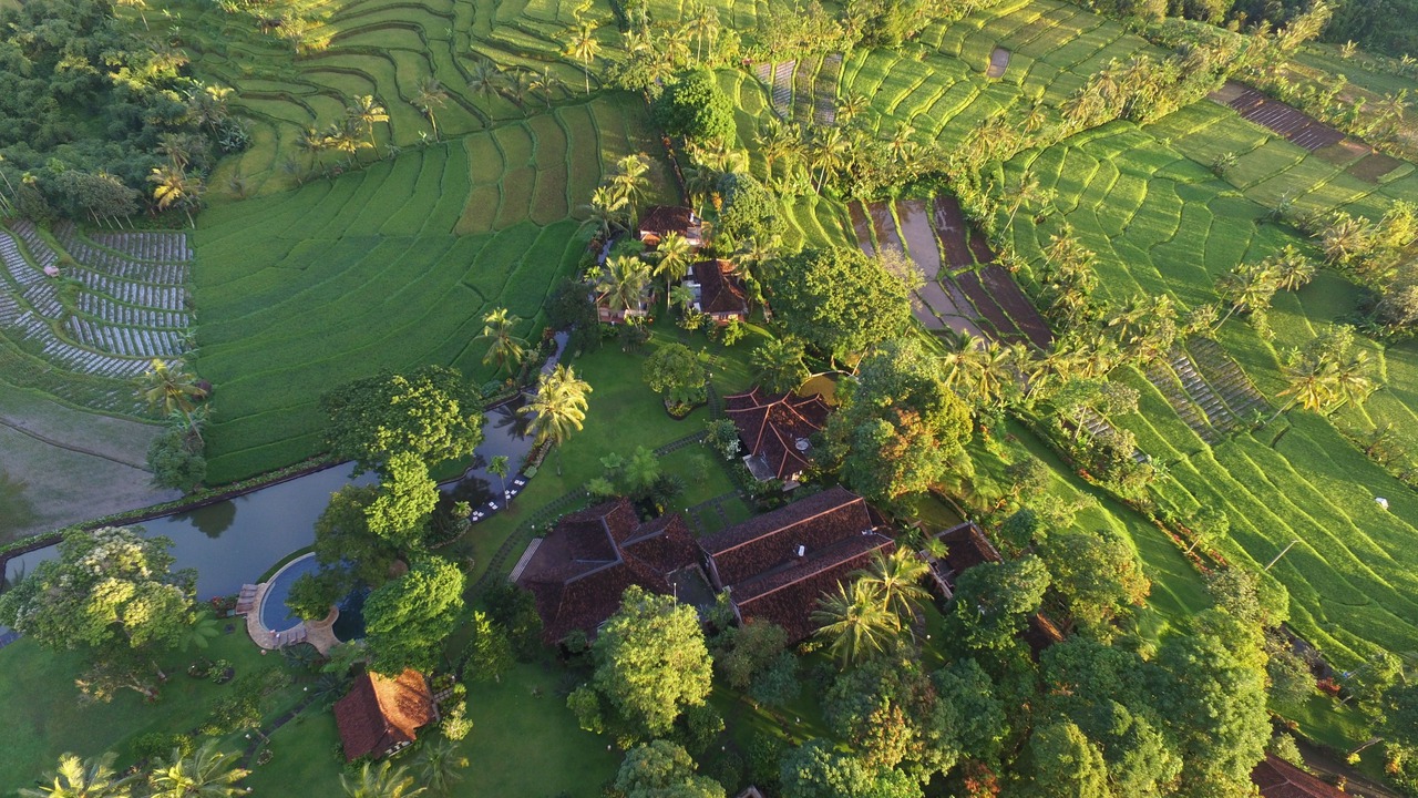 Photo of Outdoor in Banyuwangi
