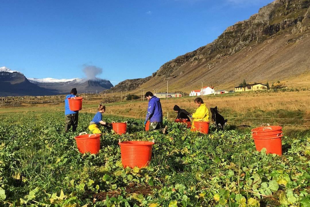 Photo of Outdoor in Djupivogur