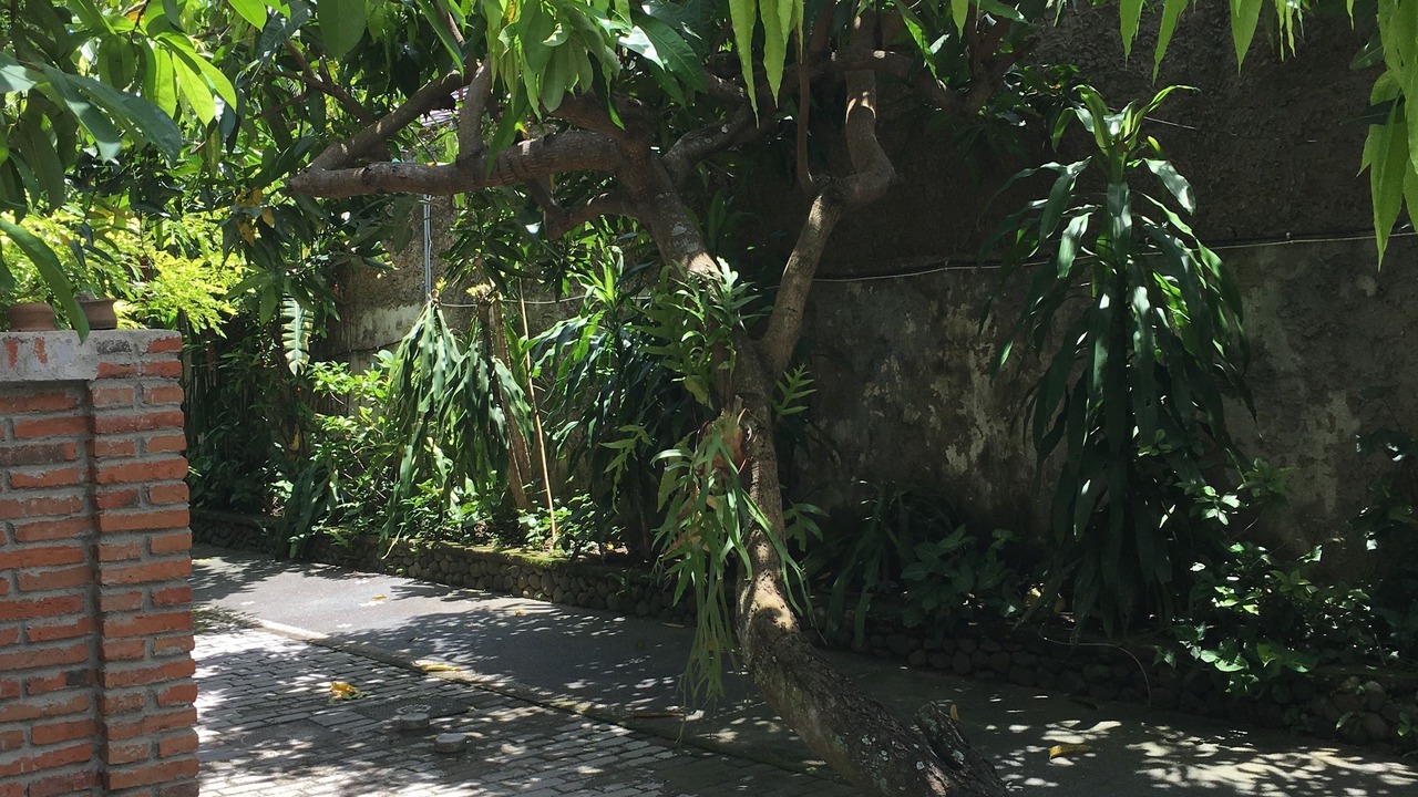 Photo of Others in Senggigi