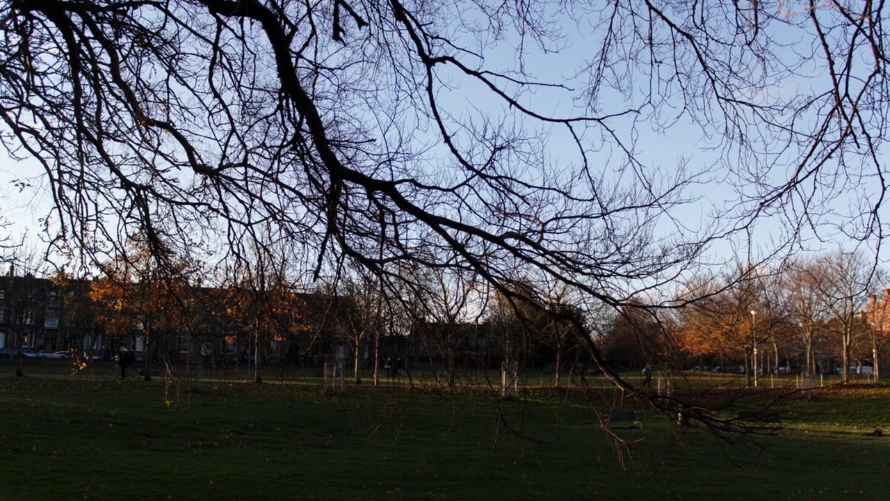 Photo of Others in Bruntsfield