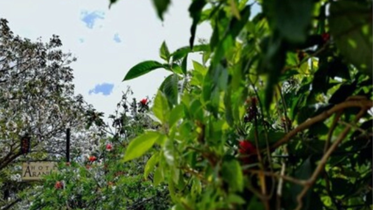 Photo of Outdoor in Carmen