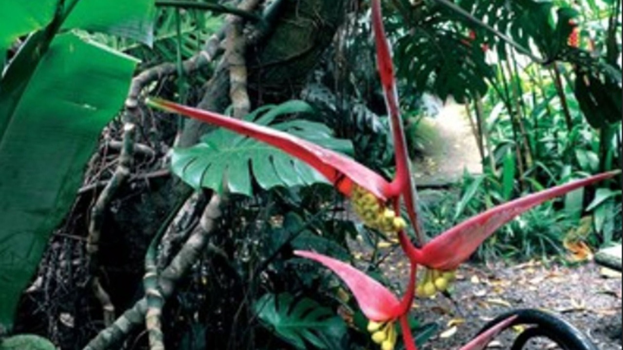 Photo of Outdoor in Carmen