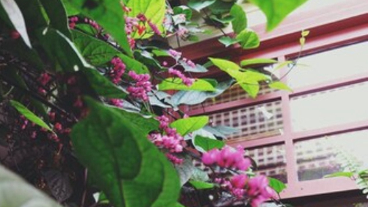 Photo of Outdoor in Carmen