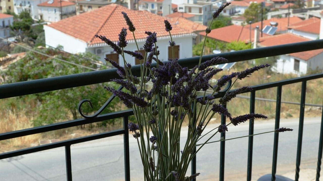 Photo of Outdoor in Pylos