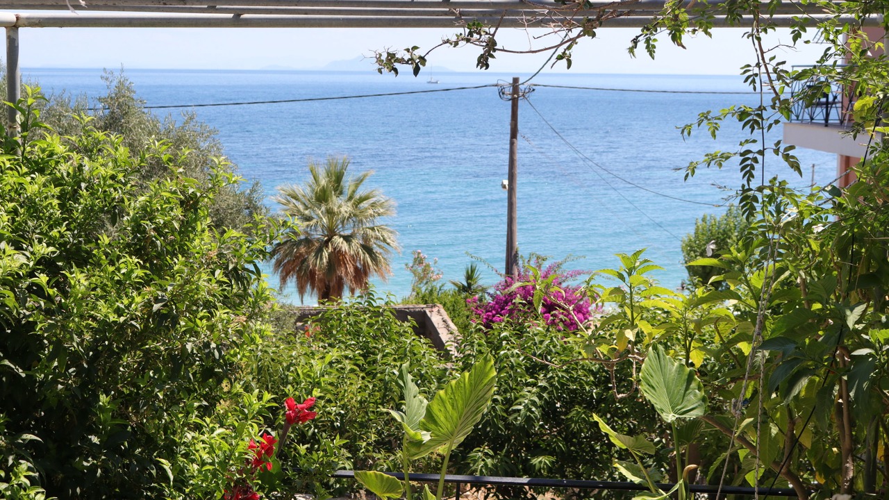 Photo of Others in Poros