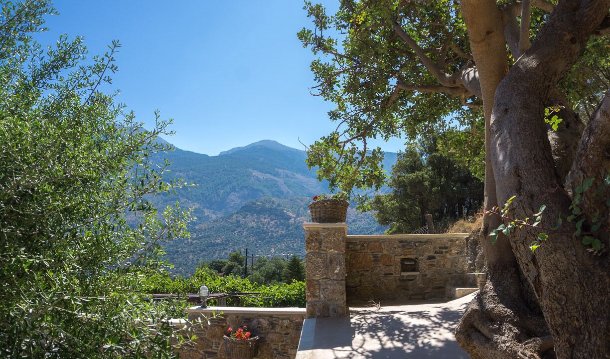 Photo of Outdoor in Moni