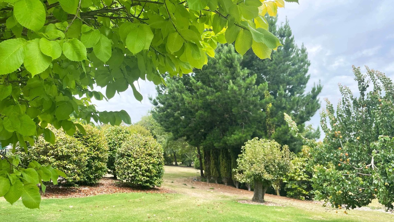 Photo of Outdoor in Stony Rise