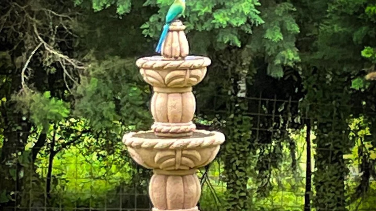 Photo of Outdoor in San Jeronimo