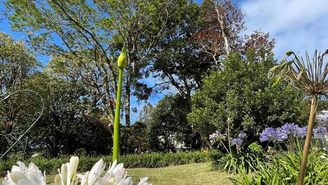 Photo of Outdoor in San Jeronimo