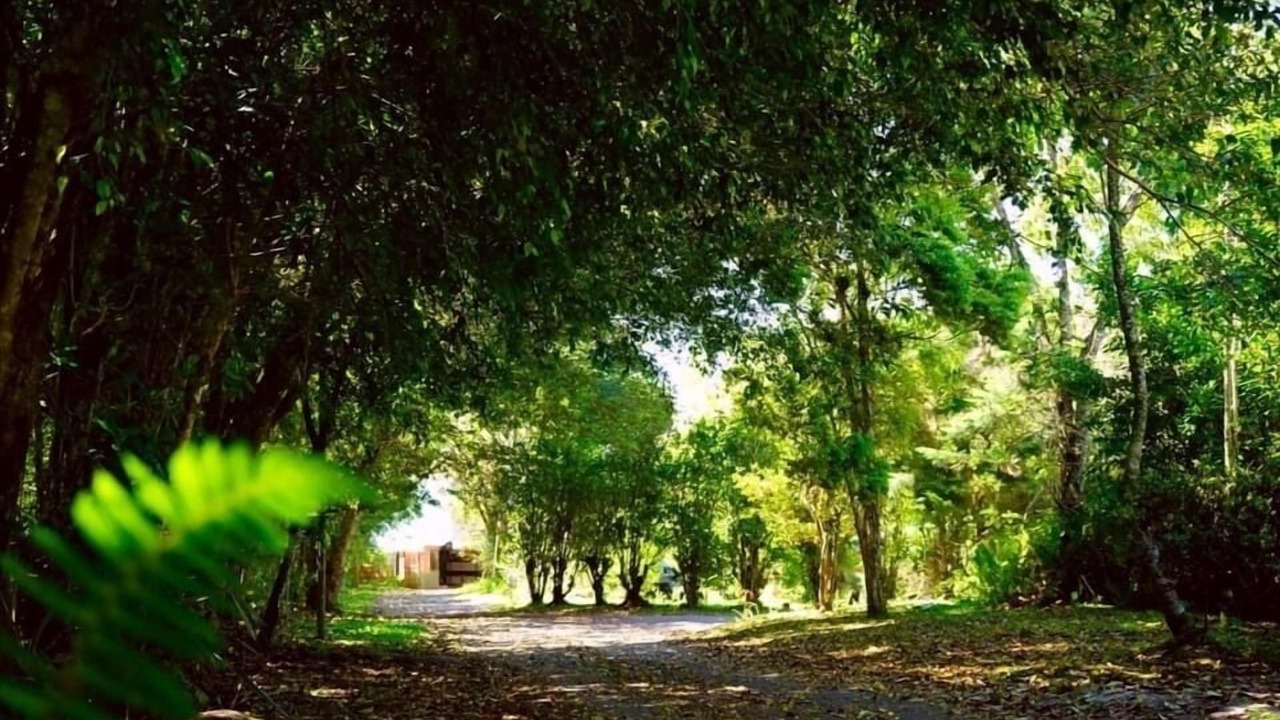 Photo of Outdoor in San Jeronimo