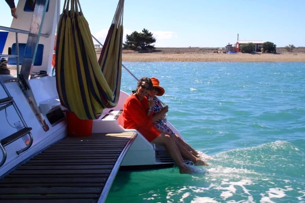 Photo of Others in Ngaio Bay