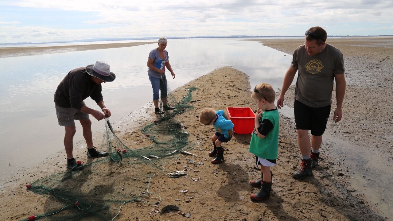 Photo of Others in Awhitu