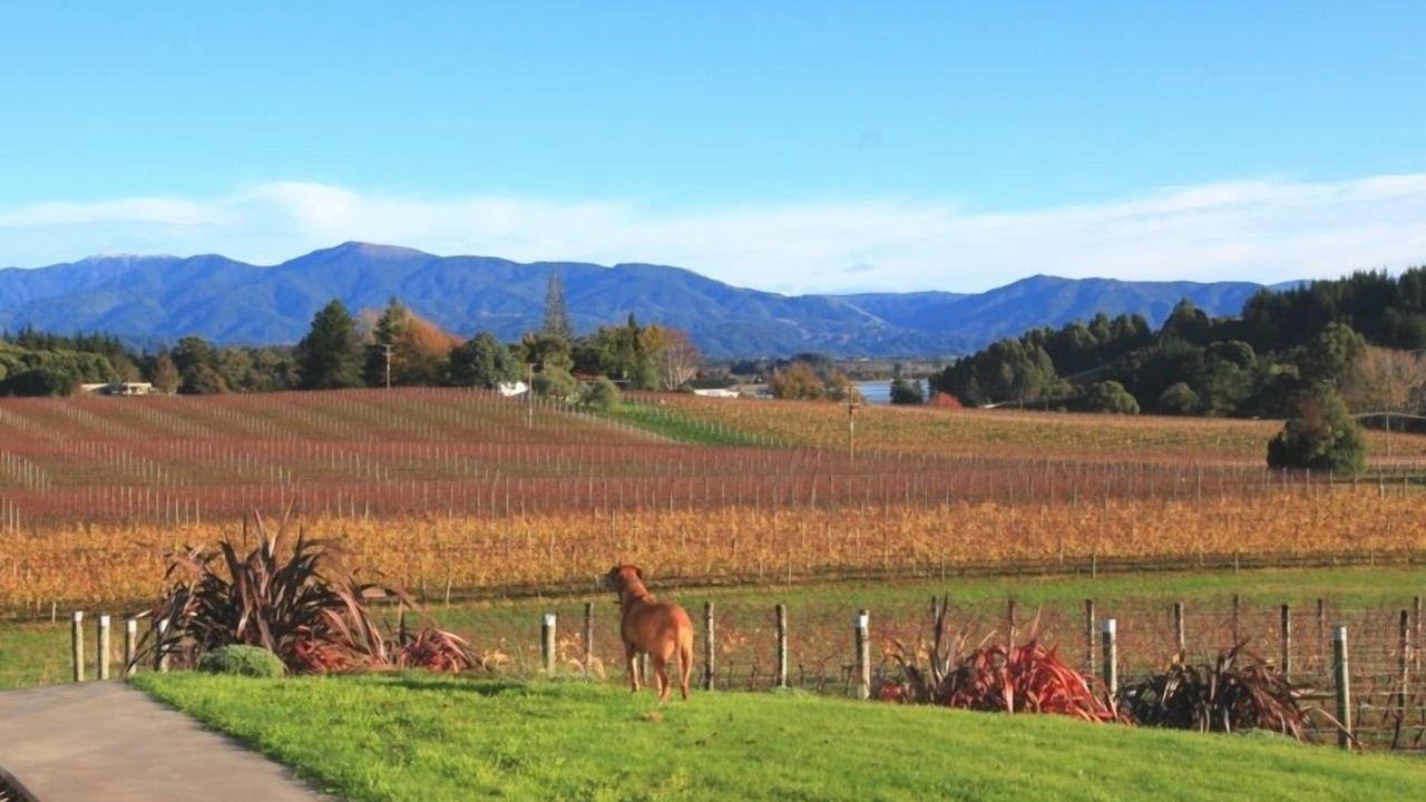 Photo of Outdoor in Tasman