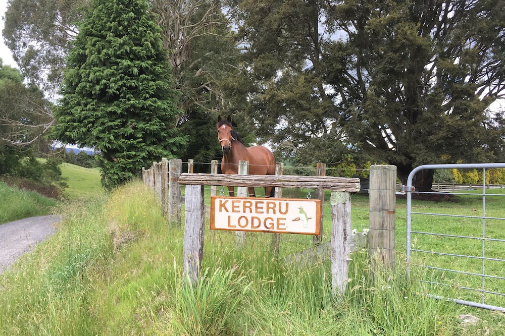 Photo of Outdoor in Kakahi