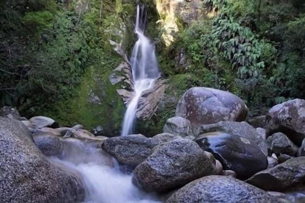 Photo of Outdoor in Hokitika