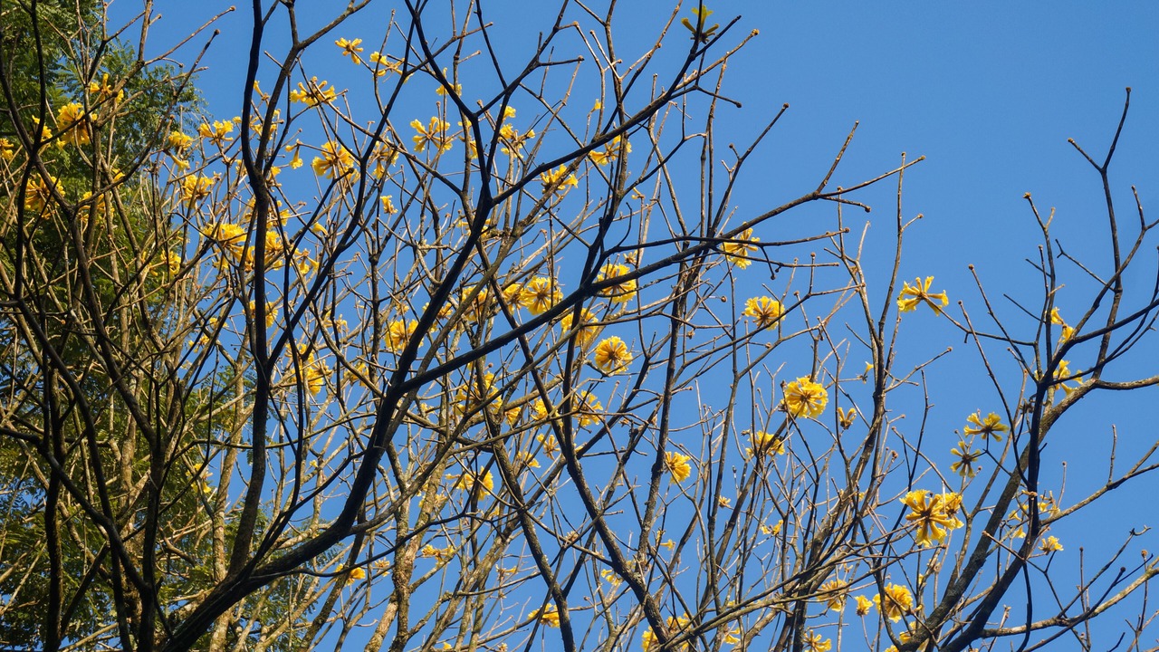 Photo of Outdoor in Santa Rosa