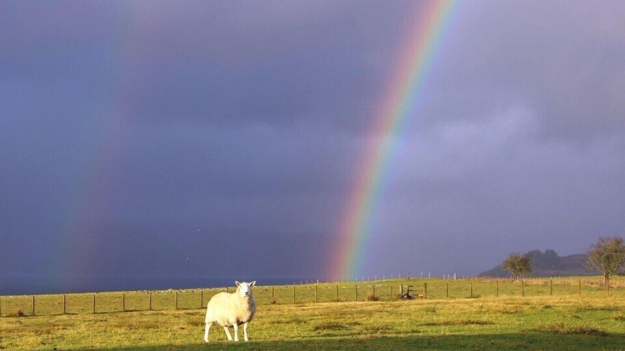 Photo of Outdoor in Appin