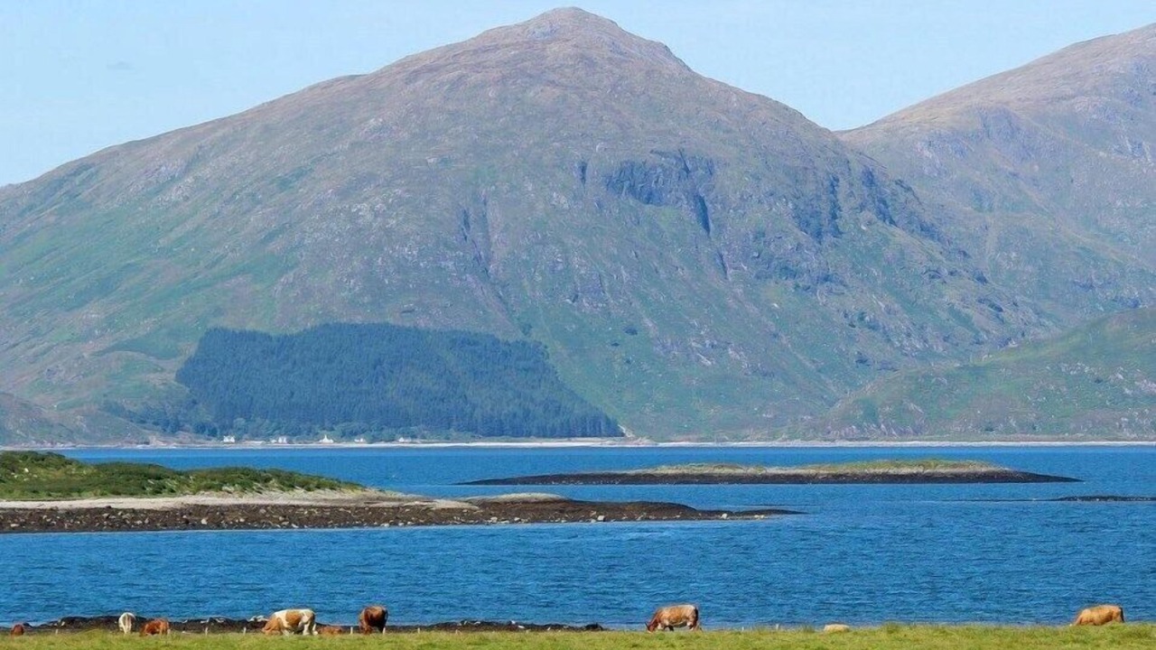 Photo of Outdoor in Appin