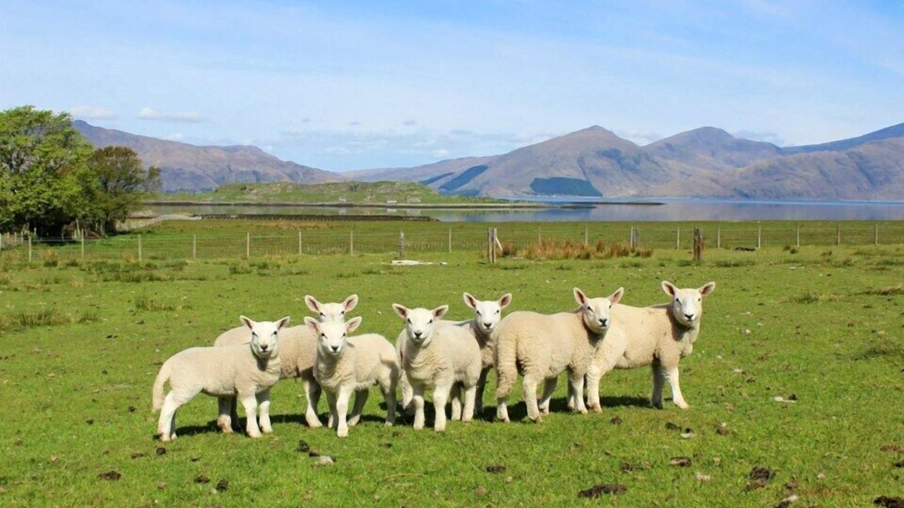 Photo of Outdoor in Appin