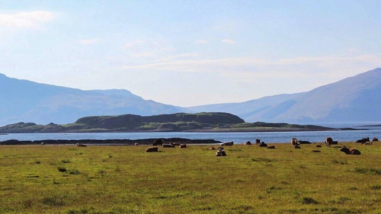 Photo of Outdoor in Appin